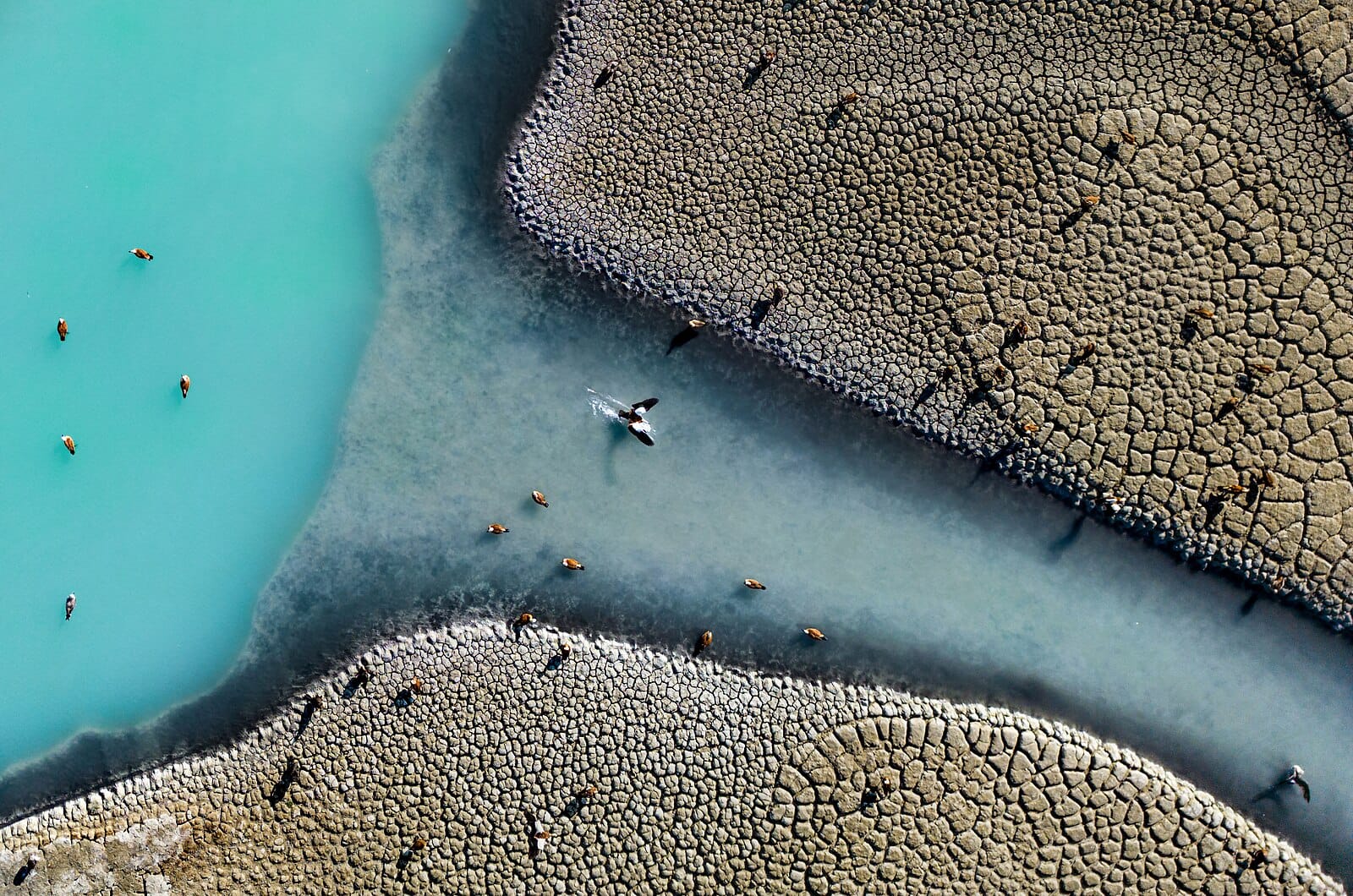 A Drying Lake’s Echo