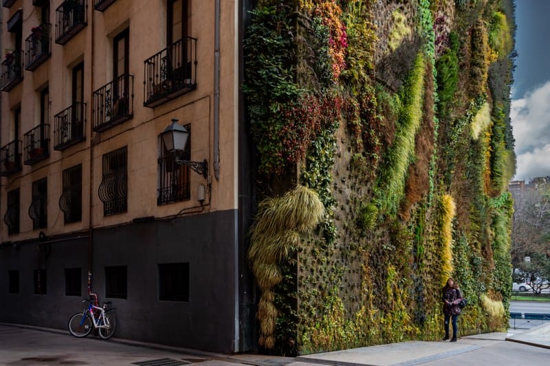 Urban Treasures 2024