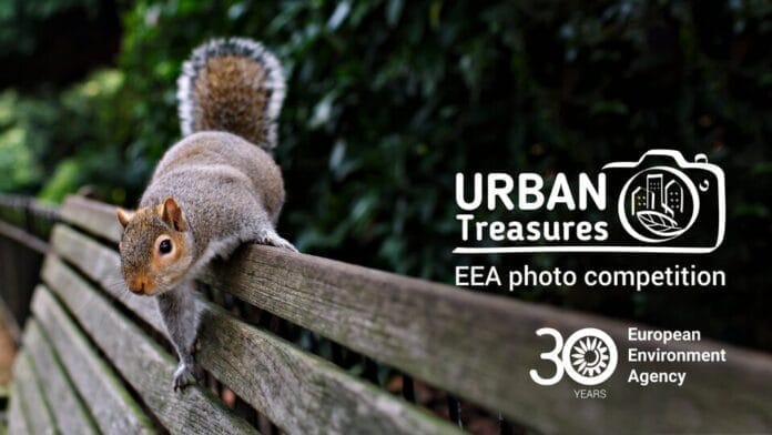 Beyond the Lens: The Lasting Impact of EEA's "Urban Treasures" 2024