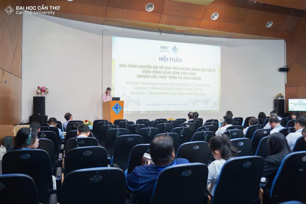 Trường Đại học Cần Thơ tổ chức Hội thảo “Giải pháp chuyển đổi hệ sinh thái ngành hàng lúa gạo ở vùng đồng bằng sông Cửu Long: Nghiên cứu, phát triển và kinh doanh”